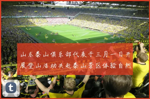 山东泰山俱乐部代表于三月一日开展登山活动共赴泰山景区体验自然之美