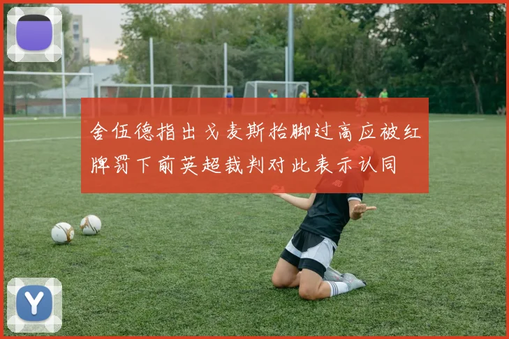 舍伍德指出戈麦斯抬脚过高应被红牌罚下前英超裁判对此表示认同