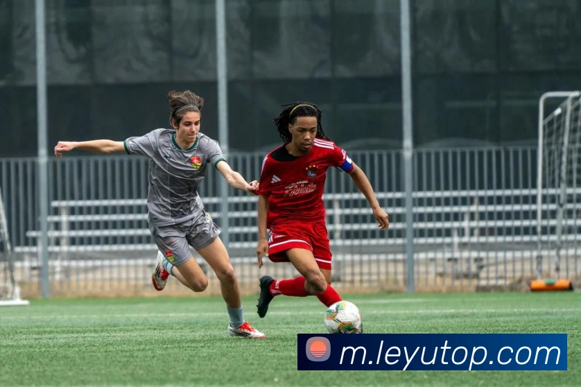 乐鱼体育平台生态图