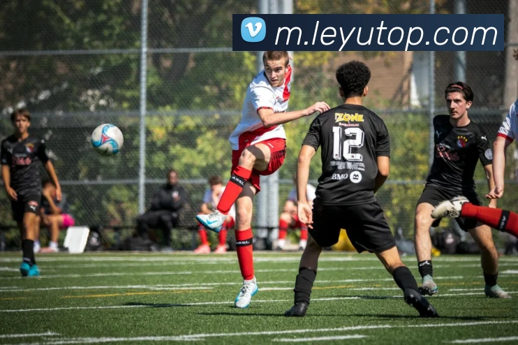 乐鱼体育全站App