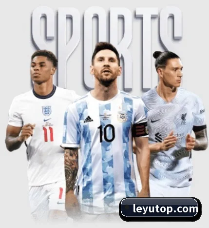 五大服务分区,信息按项目分类（Leyu）